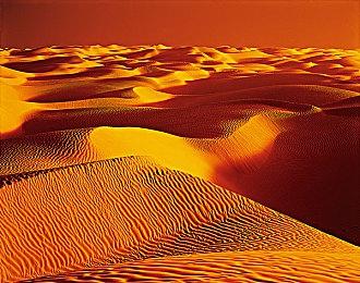 EA成立新工作室 开发以《战地》为背景的叙事战役